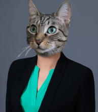Foto de Organitzadora Tildi